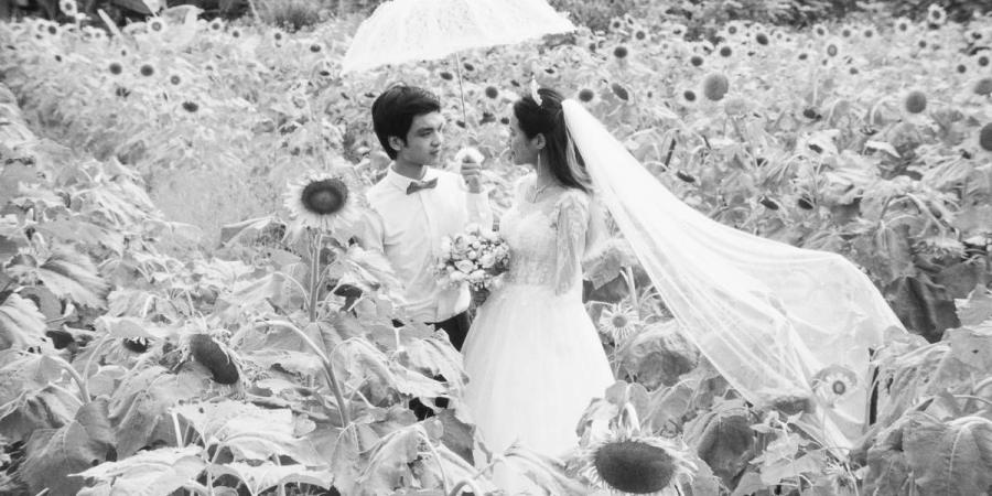 «الشارقة للفنون» و«نيويورك أبوظبي» يعرضان أعمالاً من «منصة الأفلام» - دليل الوطن