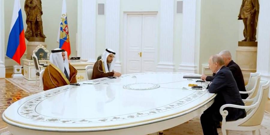 سيف بن زايد يستعرض مع بوتين الإنجازات الأمنية والثقافية المشتركة - دليل الوطن